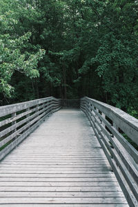 View of footbridge in forest