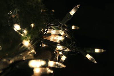 Close-up of illuminated christmas tree at night