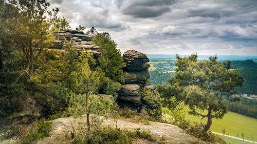 View of trees on landscape against cloudy sky