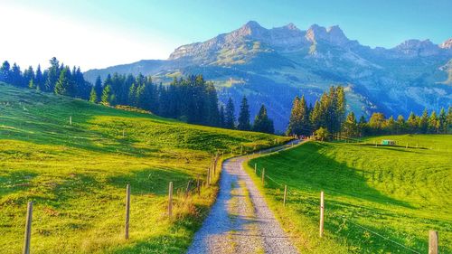 Dirt road on field against mountains