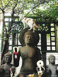 Statue of buddha against trees