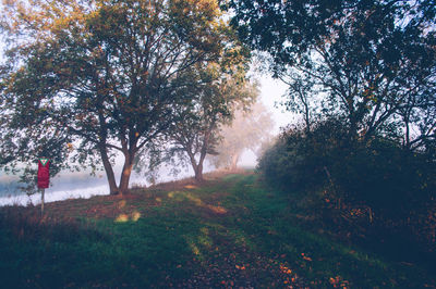 Trees on field during autumn