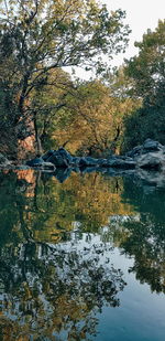 Reflection of trees in lake against sky