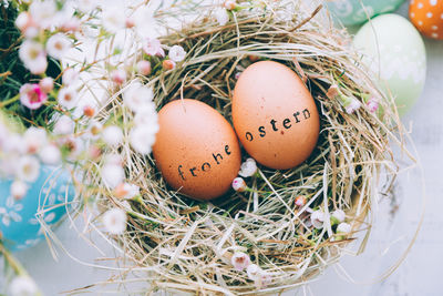 High angle view of easter eggs in nest on window sill