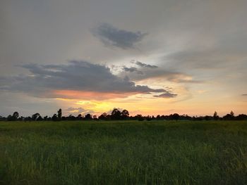 Scenic view of field against sky during sunset