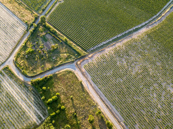 High angle view of agricultural field