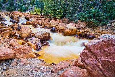 Stream flowing through rocks in forest