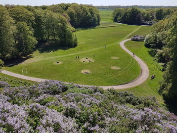 High angle view of green landscape