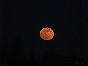 Low angle view of moon against clear sky at night