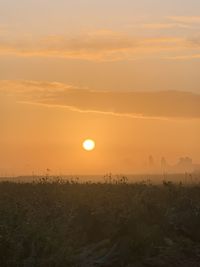 Scenic view of field against sky during sunset