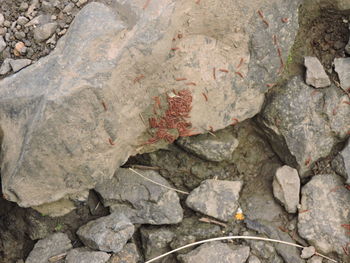 Full frame shot of rocks