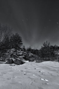 Trees on snow against sky at night