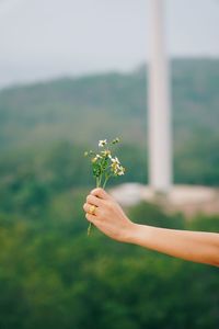 Midsection of woman holding flower on field