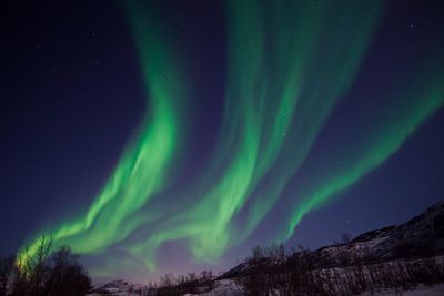 Low angle view of sky at night