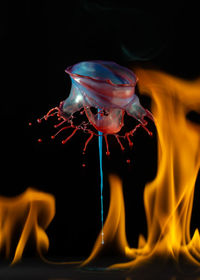 Close-up of water crown and fire against black background