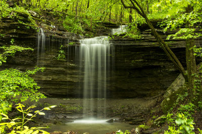 Scenic view of waterfall in forest