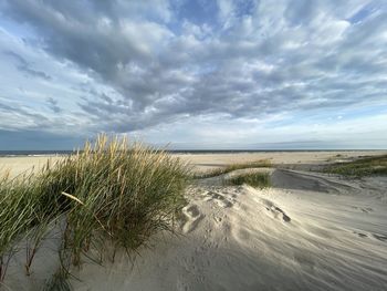 Scenic view of beach against sky
