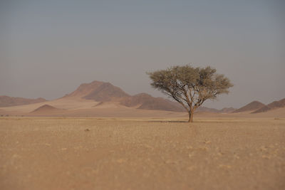 Scenic view of desert against sky