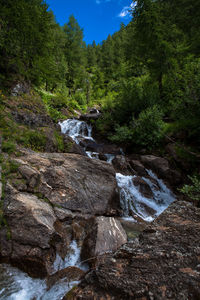 River flowing through rocks in forest