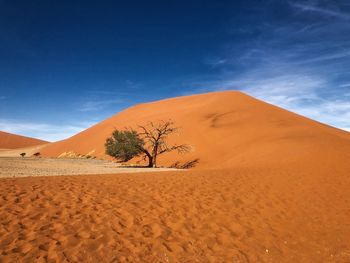 Scenic view of desert against sky