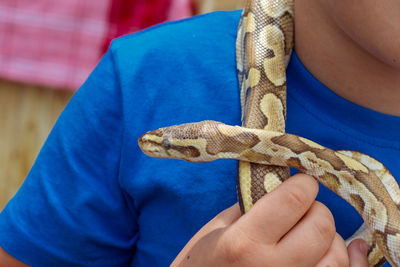 Midsection of boy with snake