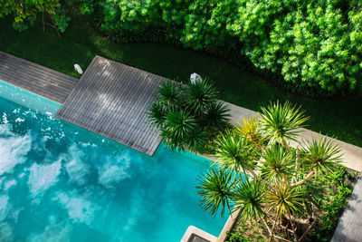 High angle view of swimming pool against trees