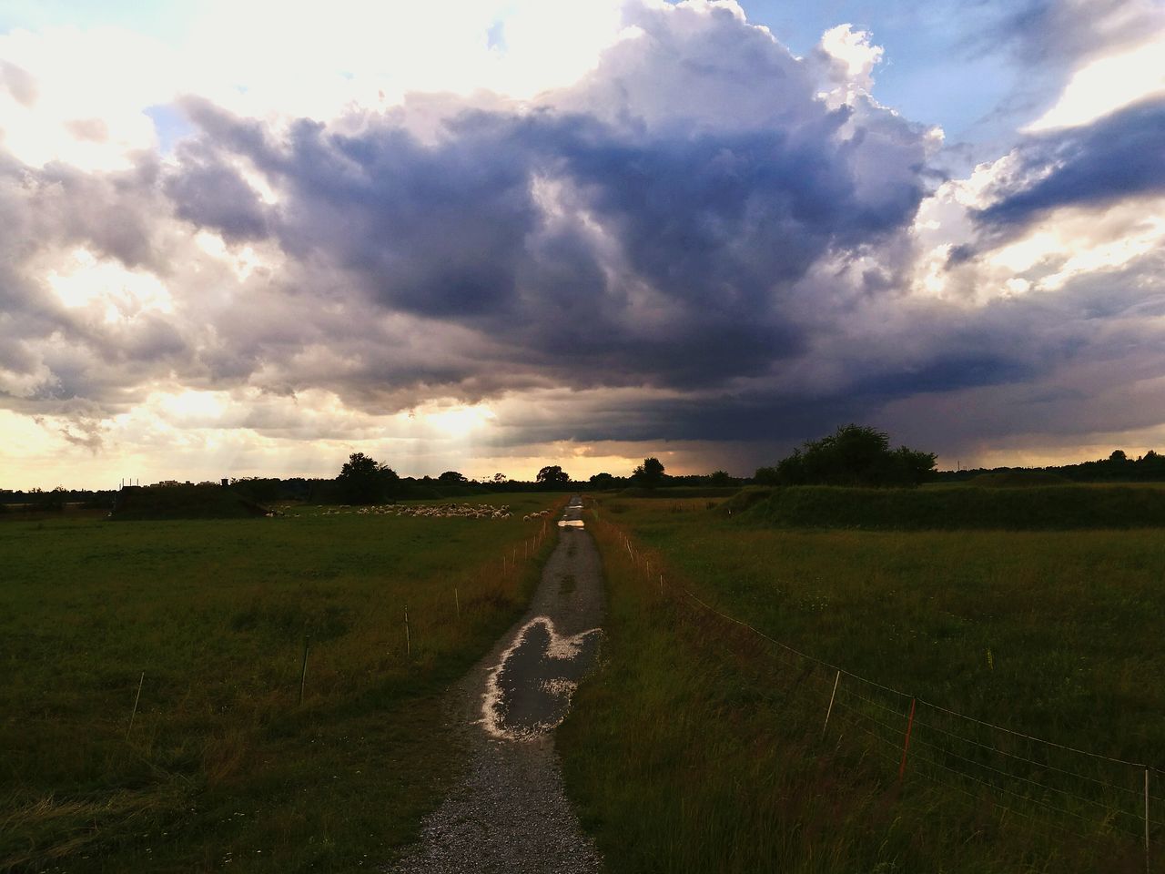 sky, the way forward, cloud - sky, grass, tranquility, tranquil scene, landscape, cloudy, field, diminishing perspective, scenics, nature, beauty in nature, vanishing point, road, cloud, grassy, country road, non-urban scene, rural scene, outdoors, weather, no people, idyllic, green color, remote, growth, overcast, empty, day