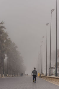 Rear view of man walking on street against sky