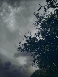 Low angle view of silhouette tree against sky