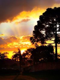 Silhouette trees against sky during sunset