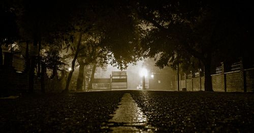 Empty road along trees at night