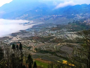 Aerial view of agricultural field