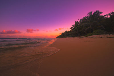 Scenic view of beach against sky during sunset