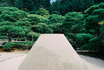 View of trees in garden