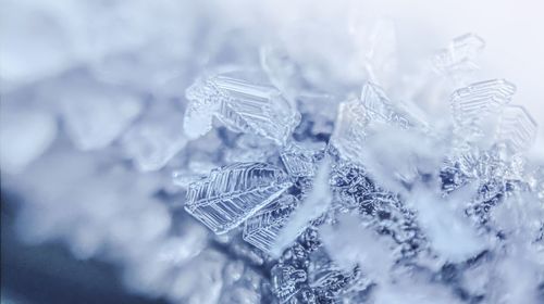 Close-up of snowflakes