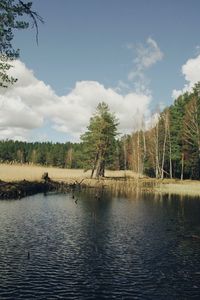 Scenic view of lake in forest against sky