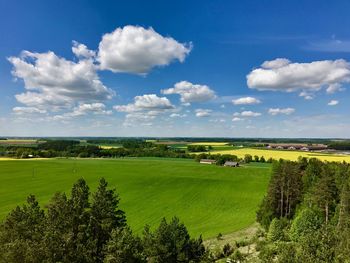 Scenic view of field against sky