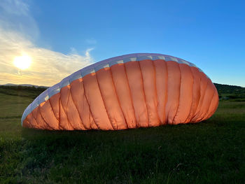 Hot air balloons on field against blue sky