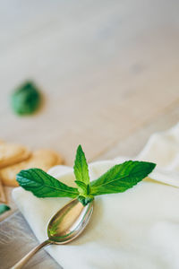 Mint leaves on spoon