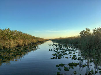 Scenic view of lake against clear blue sky