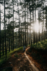 Man riding motorcycle on footpath amidst trees in forest