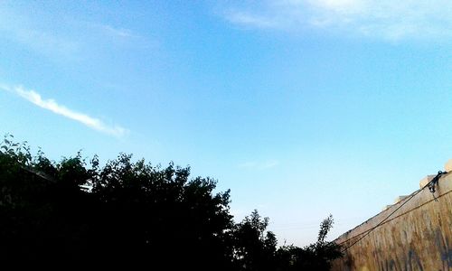 Low angle view of silhouette trees against blue sky