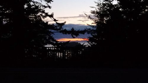 Silhouette trees against sky at sunset