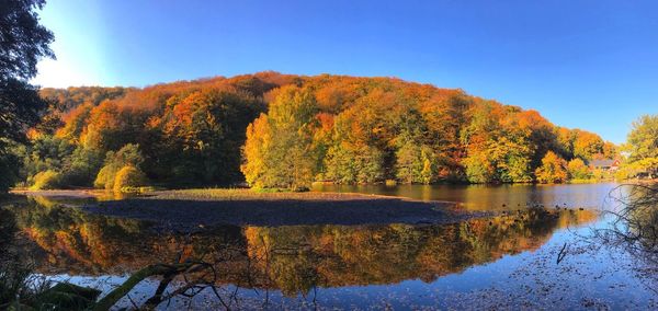 Scenic view of lake by trees during autumn