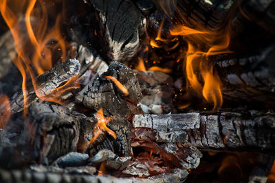 Close-up of bonfire on log