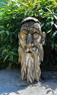 Close-up of statue by water