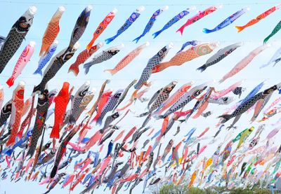 Koinobori, carp streamers floating on the air