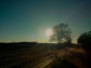 Sun shining through trees on landscape