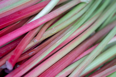 Full frame shot of vegetables for sale