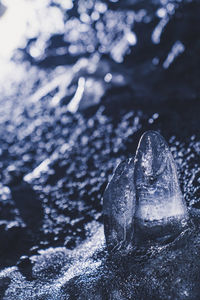 ice
